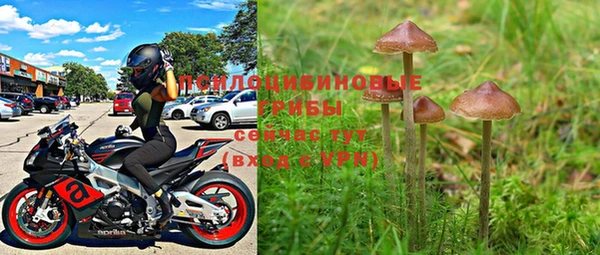 таблы Кукмор