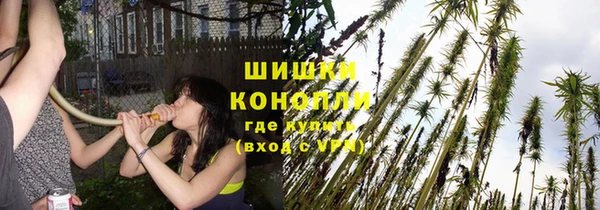 мдпв Сосновоборск