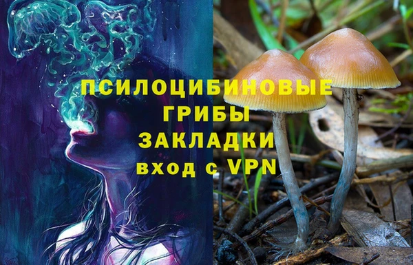 MDMA Premium VHQ Карпинск
