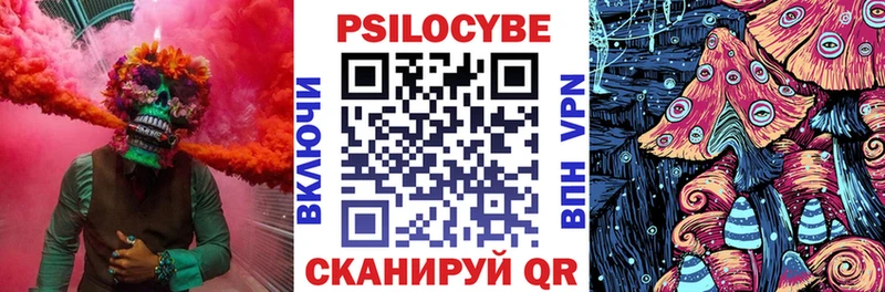 Псилоцибиновые грибы Psilocybine cubensis Сосновый Бор