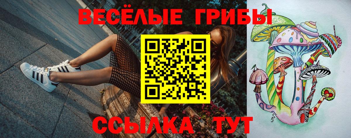 Галлюциногенные грибы GOLDEN TEACHER Сосновый Бор