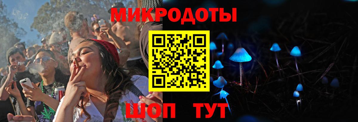 Галлюциногенные грибы Psilocybine cubensis  Сосновый Бор  наркота  Галлюциногенные грибы ЛСД 